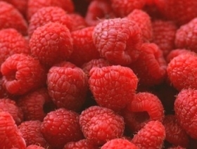 AVENES EXTRA PT 2.šķira 125gr