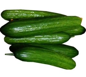 GURĶI SVAIGI GARIE Igaunija